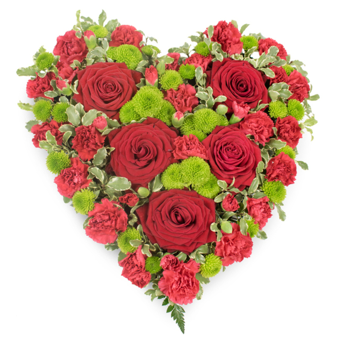A striking heart-shaped floral arrangement, created as a funeral or memorial tribute, is shown against a bright white backdrop where every detail of the design is clearly visible. The heart itself is perfectly formed and entirely covered with flowers, giving it a rich, sculpted appearance. Dominating the composition are several large red roses, their petals velvety and full, spiralling inward to tight centres that hint at fragrance and softness. These roses sit slightly above the surrounding blooms, creating a gentle three-dimensional effect. Filling the spaces around them, masses of small red carnations and mini carnations build up a luxurious, ruffled surface, their many layers of petals adding a sense of movement and tenderness, like a fabric heart quilted with care. Scattered thoughtfully throughout are compact clusters of lime-green button chrysanthemums, their rounded, textured heads catching the eye and lifting the colour palette with a lively, spring-like freshness. Encircling the heart, variegated pittosporum-style leaves in green with creamy edges frame the arrangement, with a few delicate fronds of dark fern emerging near the pointed base, softening the silhouette. The clean, shadowless lighting makes the reds appear deep and velvety and the greens crisp and bright, as if the tribute has just been prepared in a Clerkenwell studio not far from Exmouth Market. This floral heart feels suited to a final farewell, resting on an easel at a service or placed beside a casket, conveying profound love, devotion, and respect. It reflects the quiet craftsmanship of a local florist who understands how families in Clerkenwell seek something both beautiful and sincere to honour a cherished life.