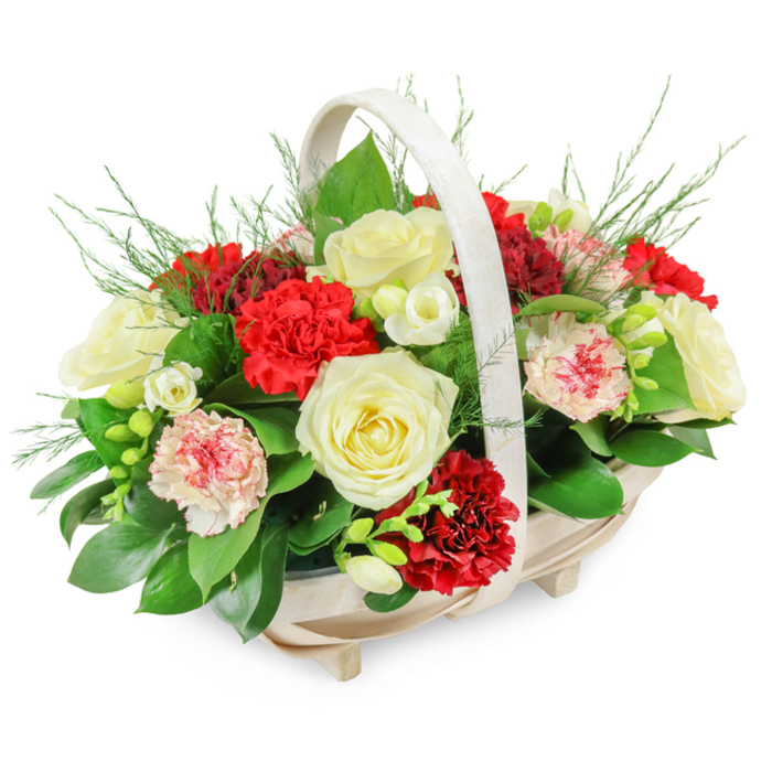 A refined funeral flower basket is captured against a bright white studio background, the simplicity of the setting drawing full attention to its soft colours and thoughtful craftsmanship. The basket itself is crafted from light, natural wood, its oval base supported by four neat little feet and topped with a smooth, arched handle that adds a gentle curve to the composition. Within this pale frame, a domed arrangement of blooms rises in a full, overflowing mound, blending creamy whites, deep reds, and soft pinks with cushions of deep green foliage. Fully open white roses anchor the design, their creamy petals unfurling in well-formed spirals that convey serenity, gratitude, and honour for a life well lived. Around them, velvety red carnations cluster in generous groups, their multi-layered, ruffled petals creating rich texture and symbolising strong love and remembrance, particularly fitting for a farewell service in one of Clerkenwell's historic churches or chapels. Interspersed between these, pastel pink and variegated carnations appear, some petals edged or lightly brushed with red, adding a delicate, almost watercolor-like transition between the stronger tones. Small, airy white blooms-likely freesias-thread through the arrangement on slender stems, their open, bell-shaped flowers adding brightness and suggesting a gentle fragrance that feels soothing in a moment of grief. Beneath and around the flowers, broad, glossy green leaves form a solid, protective base, while tendrils of feathery fern or asparagus greenery lift the overall shape, preventing it from feeling heavy. Designed by experienced Clerkenwell florists who understand the needs of local families, this basket is a dignified and comforting expression of sympathy, suitable for display at funeral services, cremations, or condolence gatherings throughout Clerkenwell, Farringdon, and nearby City venues.