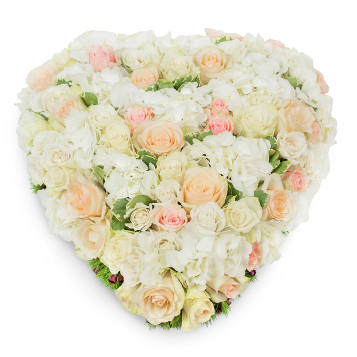 A lavish heart-shaped floral tribute is presented from a slightly elevated, overhead angle against a crisp white backdrop, the composition both sumptuous and meticulously ordered. The arrangement is densely packed with roses in a delicate spectrum - pristine whites, warm ivories, pale peaches and soft blush pinks - their varied stages of bloom lending a rich, tactile rhythm across the surface. Interspersed throughout are generous clusters of pure white hydrangea, their multi-petalled heads forming plush islands that enhance the heart's volume and impart a cloud-like softness. Deep green variegated foliage peeks through at intervals, particularly along the lower curve, grounding the palette and sharpening the pastel tones of the blooms. Subtle shadowing beneath the piece underscores its three-dimensional build and the careful layering achieved by an experienced florist: each stem placed to support shape, balance colour and maintain a seamless, lush face. The visual tone is one of serene elegance and heartfelt intent, equally appropriate for wedding ceremonies, anniversaries, Valentine's celebrations or as a dignified memorial. Imagine this piece arriving with the quiet streets of Clerkenwell in mind - a comforting, refined offering for a chapel service near St John's or a tender keepsake following a memorial at a local church. The scent, while not shown, can be imagined as a soft, clean rose fragrance tempered by the green freshness of foliage, a sensory companion to the arrangement's purely visual grace.