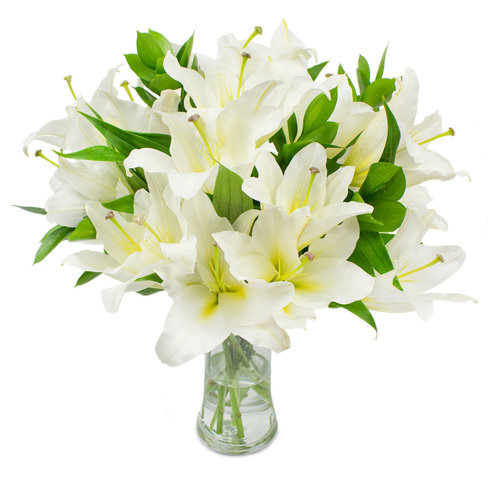 A bountiful display of white lilies commands the view, each blossom composed of multiple rounded petals that sweep outward in soft, elegant curves. The petals are a brilliant, almost luminous white with the slightest wash of cream and pale green near each throat, where the eye catches the graceful rise of long stamens. Those stamens stand out with their pale, greenish filaments and deeper brown anthers, adding a restrained, organic texture to the otherwise smooth surfaces. Between the blooms, plentiful deep-green leaves with a satiny sheen create lush pockets of shadow and leaven the arrangement with natural depth. The flowers are arranged in a clear glass vase with a modest flare at the top; through the transparent water the light refracts over the trimmed stems, accentuating their fresh, pale-green colour and the careful trimming that keeps the composition tidy. Set against a clean white backdrop and lit to emphasise the lilies' sculptural lines, the bouquet emits a sense of calm and dignified purity. You can imagine it sitting in a quiet Clerkenwell parlour or as a tasteful tribute at a nearby chapel, its subtle, sweet scent offering quiet comfort. Built with the eye of an experienced local florist, the arrangement balances abundance and restraint-perfect as a refined centrepiece for a small gathering on Exmouth Market or as a composed sympathy bouquet for a service on St John's Street-conveying both beauty and thoughtful intent.
