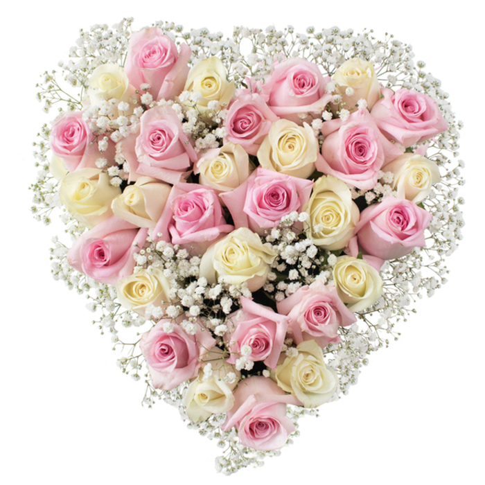 A distinctive heart-shaped floral masterpiece, brought to life in Clerkenwell by expert hands, fills the centre of this arrangement. About thirty to thirty-five elegant roses in romantic blush pink and creamy ivory hues are densely set, each at various stages of graceful bloom-an embodiment of love and gentle remembrance. The spiralling petals of every rose, dewy and soft to the touch, are subtly illuminated, their tones deepened by natural, even light that enhances the arrangement's dimensional beauty. Threaded throughout, delicate clusters of baby's breath-white, featherlight, and cloud-like-soften the form and brighten the spaces between the lush blooms, evoking the serenity of Clerkenwell Green on peaceful afternoons. Unmistakably heart-shaped in its lush, full contour, the bouquet signifies enduring affection and thoughtful tribute, making it ideal for marking family milestones, honouring loved ones, or sending consolation for memorial services nearby. Set against a pristine white ground, each flower's colour and detail become luminous, reflecting both traditional elegance and the modern artistry unique to this vibrant London district. The arrangement radiates calm and acknowledgment, suggesting both joyful celebration and earnest farewell, and is available for thoughtful local delivery-every detail a testament to the passion and skill of Clerkenwell's trusted florists.