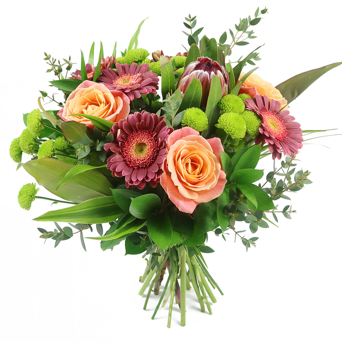 A contemporary mixed-flower bouquet is carefully arranged against a pure white background, its colours and textures echoing the creative energy of Clerkenwell's studios and showrooms. The central focus is on luxurious roses in warm peach, apricot and salmon tones, each bloom a study in subtle layering: inner petals remain slightly tighter and more saturated with colour, while the outer petals fade gently into softer, almost creamy hues, giving a sense of depth and movement. Nestled between the roses are bold gerbera daisies in deep magenta and burgundy, their fine, radiating petals forming perfect discs around lighter, textured centres that seem to shimmer faintly under the light, bringing a joyful, modern twist. A commanding King Protea emerges among the flowers, immediately drawing the eye with its strong, architectural form. Its overlapping maroon and reddish-brown bracts taper into blush-pink spiky tips, giving the arrangement a sculptural focal point reminiscent of art pieces displayed in nearby Clerkenwell galleries. Throughout the bouquet, bright lime-green button chrysanthemums-compact, spherical clusters of tiny petals-create zesty accents, providing energetic pops of green that balance and refresh the warmer shades. The blooms sit within a lush framework of foliage, including broad, glossy leaves that offer a solid base, tall, sword-like greens that give height and vertical rhythm, and curved sprigs of eucalyptus in silvery-green tones that soften the outline and evoke a clean, calming scent. The stems, neatly gathered and tied at the bottom, highlight the bouquet's hand-tied craftsmanship, suggesting it is ready for a vase in a Farringdon apartment or a shared workspace near Exmouth Market. Bathed in even, gentle light, the bouquet feels vibrant, stylish and welcoming, ideal for marking personal milestones, office celebrations or simple gestures of kindness with delivery throughout Clerkenwell.