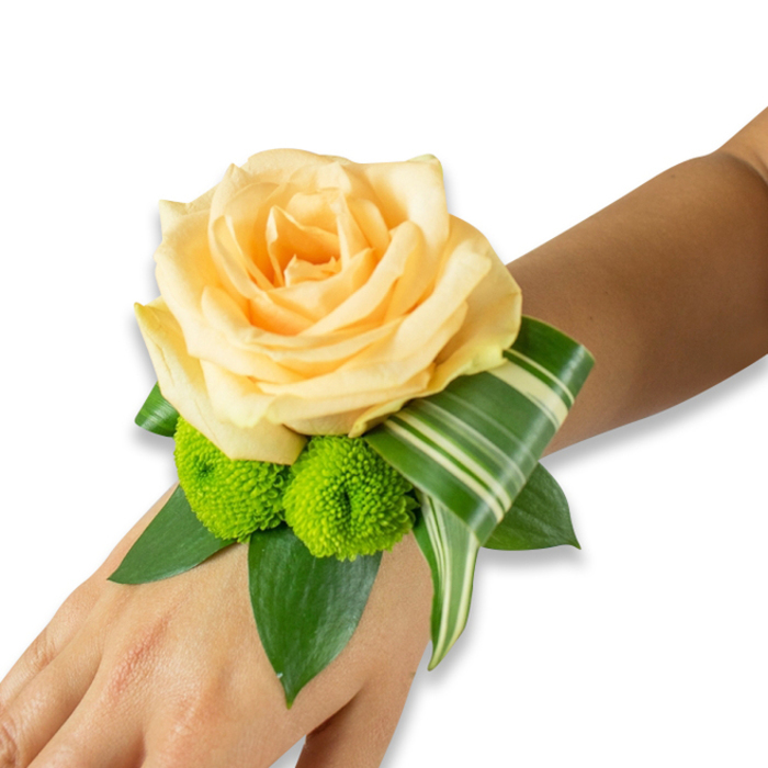 Set against a bright white studio background, this wrist corsage is composed with thoughtful restraint and fresh artisan skill. The central element is a large, open rose in a pale peach or champagne tone, its delicate layers of petals arranged so that light pools in the centre and the surface appears almost satin-smooth to the eye. Two compact lime-green pom-pom chrysanthemums sit beneath the rose, their spherical texture adding a joyful, contemporary punctuation to the softer rose silhouette. Beneath and around the flowers a variety of deep green foliage - broad, glossy leaves possibly from salal or ruscus - provide a verdant cradle that readies the piece to be worn. A striking variegated leaf, folded and curled with intention, traces a subtle arc from beneath the rose to the outer edge of the wrist, introducing a graphic stripe of paler green that lifts the composition and gives it architectural poise. The corsage is displayed on the inner forearm of a person with warm light-to-medium brown skin, the skin tone enhancing the peach and lime palette. The fastening is not visible, so the focus remains on the craftsmanship and freshness of the flowers. Soft studio light reveals surface textures - the rose's velvety petals, the mums' compact florets, and the glossy veins of the greenery - and conveys a mood of tender celebration. Ideal for weddings, proms or a formal evening in and around Clerkenwell's leafy streets, this wristlet reads as both timeless and quietly contemporary.