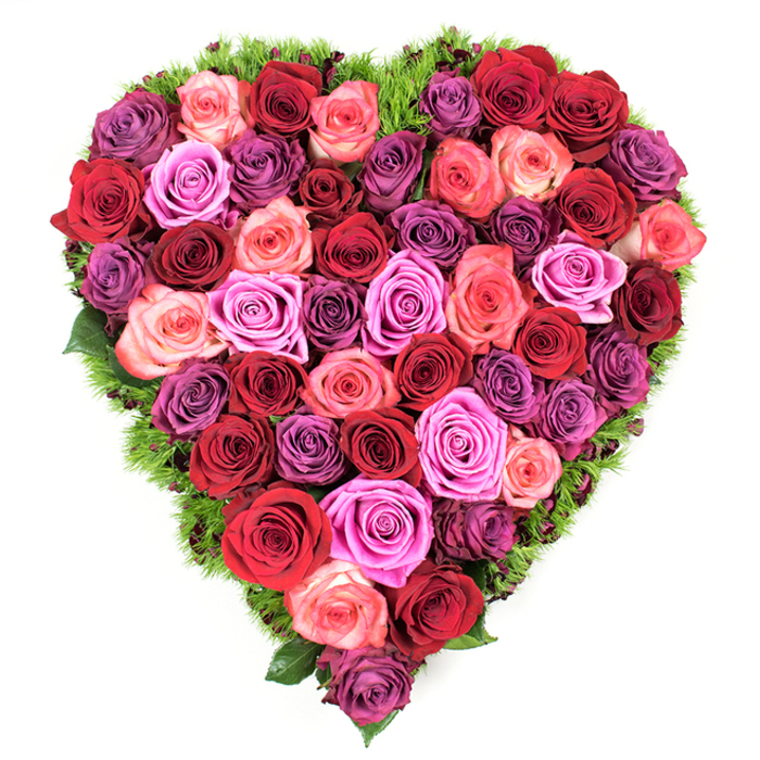 Seen from an overhead viewpoint, this intricately made heart-shaped arrangement reads as an abundant tapestry of roses, every millimetre filled with blooms so close they form a continuous, textured surface. The colour story is rich and layered: deep scarlets and burgundies lay the foundation, warmed by classic reds and coral-tinged blushes that graduate into brighter pinks and vivid fuchsia; scattered through these are cool lavender and mauve roses, some edging toward plum, which add depth and quiet sophistication. Each rose is mostly fully open with soft, velvety petals that catch light in delicate folds, their centres still gently furled - a sign of freshness and careful selection. Encircling the heart is a trim of fine, dark green foliage, reminiscent of maidenhair fern or cushioned moss, that peeks out between petals and crisply defines the silhouette against the white backdrop. The aroma you might imagine is a gentle, classic rose fragrance layered over the faintly green, almost earthy scent of the border, creating a mood that is both intimate and dignified. This piece is equally at home as a romantic centrepiece for an anniversary or Valentine's display, and as a solemn, comforting tribute at a funeral or remembrance service. Prepared by local hands, it reflects the aesthetic you find around Clerkenwell Green, just a short walk from Exmouth Market and Spa Fields, where floral gestures often mark both celebration and quiet remembrance; Clerkenwell Flowers would place this heart with the same exacting care expected by neighbours in the area.
