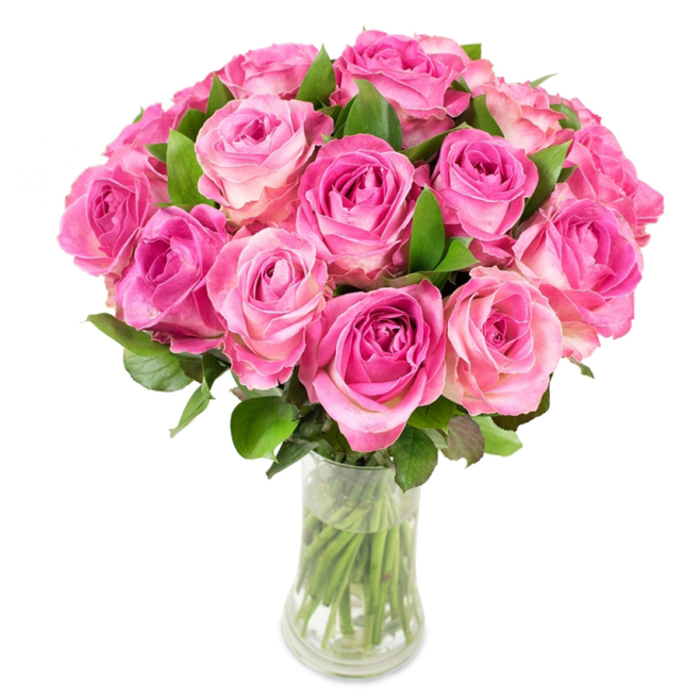 A generous, lush bouquet of approximately two dozen pink roses forms a perfectly rounded dome in a clear glass vase, photographed on a stark white background to emphasise colour and form. Each rose unfurls in tight spirals: the innermost petals hold a concentrated fuchsia or magenta glow that gently graduates to a paler blush and sometimes creamy white towards the outer edges, creating a delicate ombré across dozens of individual blooms. The roses are arranged densely, petal to petal, producing a sumptuous, satiny surface enlivened by deep green leaves that emerge between heads to give definition and a leafy counterpoint. Through the transparent vase, the crisp, trimmed green stems are visible beneath clear water, suggesting freshness and careful conditioning. The lighting is even and bright, catching the subtle highlights on each petal and the faint veins that add botanical texture; the visual effect is tactile, as if you could feel the velvety petal edges and the cool glass beneath your palms. As a local florist from Clerkenwell Flowers I would describe this bouquet as a timeless romantic choice for Mother's Day, anniversaries or a thoughtful congratulations - something that complements a flat on St John's Square or a Georgian table near Charterhouse Square. The arrangement evokes a warm, intimate sentiment: celebratory but understated, crafted with the attentive techniques of a neighbourhood florist familiar with London's small moments of elegance.