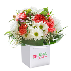Awash in soft morning light reminiscent of Clerkenwell's gentle dawns, this bouquet radiates both exuberance and calm, showcased upright in a sleek, white gift bag with elegant corded handles. The center is a spirited interplay of lush coral and deep-red carnations, each petal forming plush, frilled textures that exude vibrancy and warmth, reminiscent of strolls along Clerkenwell Green. Crisp white daisies, distinguished by their golden-lime centers, lend a breezy simplicity while sprigs of baby's breath seem to float among the larger blooms, whispering lightness and ease into the mix. Nestled among the familiar harmony are hints of closed buds, shaded in purple-pink, hinting at new beginnings-echoing Clerkenwell's creative renewal. Broad, verdant leaves arc around the base, creating a natural cascade and framing this composition as one would frame a cherished memory of a local market afternoon. The balanced, rounded shape conveys expert florist technique and an abundance of freshness, designed for easy gifting without fuss. Rendered against a pure white background, the image draws attention not just to the flowers, but to the artistry of presentation-befitting a gesture for birthdays, anniversaries, or simply brightening a home or studio near Farringdon Road. With every detail meticulously arranged, this bouquet encapsulates the heartfelt care and contemporary flair Clerkenwell Flowers brings to each and every local delivery.