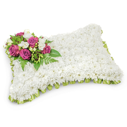 Presented on a white studio surface, this rectangular pillow of flowers is a carefully composed memorial piece that speaks of serenity. The whole top surface is densely arranged with hundreds of tiny white chrysanthemums, their petals overlapping to form a plush, even texture that reads like a soft textile and seems to exhale a faint, clean floral scent. The design's focal point is an artful cluster placed at the upper left: richly coloured magenta and fuchsia roses open boldly, their velvety faces softened by smaller white freesias and petite white buds that introduce lightness and a delicate fragrance. Intervening greenery-feathery fern fronds and glossy leaves-creates a living frame that subtly lifts the accent cluster from the white field, adding contrast and natural movement. Around the base, a pale green satin ribbon is pleated into a neat border that just shows beneath the chrysanthemums, bringing a refined finish and a gentle wash of colour. The lighting is soft and directional, creating a shallow shadow that defines the pillow's rounded edges and enhances the tactile quality. This traditional sympathy cushion is intended for funeral chapels or graveside use, conveying repose, love and respectful remembrance. Envision it part of a service near St John's Square or delivered quietly to a family gathering in Clerkenwell, a thoughtful tribute crafted with steady hands and attention to detail.