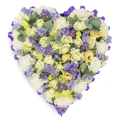 A studio-style photograph captures a heart-shaped sympathy arrangement, dense and lovingly constructed, its palette tuned to soft consolation. At the visual core lie numerous cream and pale yellow roses, their tight buds and gently opening blooms forming a sumptuous, layered surface that reads as warm and tender. Interspersed are generous clusters of white carnations, their ruffled edges providing volume and a comforting, traditional note. Throughout the heart, feathery sprigs of light lavender statice uplift the composition with delicate, papery clusters, while small purple aster-like blooms, each with a bright yellow centre, create lively pinpricks of colour that balance the overall softness. Sprays of rounded, blue-green eucalyptus are set deliberately among the flowers; their smooth, matte leaves add sculptural negative space and a faint, fresh herbal suggestion to the imagined scent. The whole design is framed by a continuous, deep purple satin ribbon folded into a refined border, the ribbon's sheen catching the soft studio light and giving the silhouette a polished edge. This arrangement communicates peace, respect and remembrance through its measured textures and gentle hues. It is the kind of tribute a family might choose for a wake at a local venue near Exmouth Market or to lay at a graveside service in a nearby cemetery, offering solace and a dignified expression of love at a quieter moment of farewell.