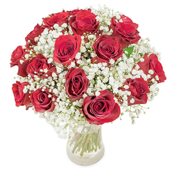 A sumptuous, domed cluster of about eighteen to twenty velvety red roses set within a froth of delicate white gypsophila, presented in a clear glass vase against a clean white background. Each rose displays fully opened, plush petals in a saturated crimson that reads both passionate and refined; the baby's breath threads between the blooms in airy, cloud-like sprays that lend softness and a sense of effortless lightness to the arrangement. The bouquet is shaped for a compact, lush silhouette so that from every viewing angle the roses appear full and inviting, while the translucent vase reveals the long, green stems-trimmed and aligned-adding structural rhythm beneath the blooms. Photographically, the even lighting highlights petal edges and the tiny bead-like flowers of the gypsophila, and you can almost sense the faint, classic perfume of roses as it would fill a quiet Clerkenwell flat near St. John Street. Crafted with neighbourhood sensibilities in mind, this arrangement is precisely the sort of gift our clients request for intimate anniversaries, romantic surprises, or to mark special birthdays for friends around Exmouth Market and Leather Lane. Prepared by an experienced local hand and available for same-day delivery across Clerkenwell, this bouquet balances formal romance and everyday warmth; it reads as both a visual statement and a gentle, fragrant offering-one that speaks of thoughtful, neighbourhood floristry from Clerkenwell Flowers.