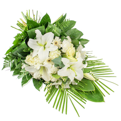 A refined white and green sympathy spray stretches diagonally across a crisp white background, designed as a one-sided display that invites the eye to travel from its fuller top left down to a tapered, graceful point at the lower right. Central to the arrangement, several impressive white Oriental lilies rise and open, their trumpet-shaped blooms revealing soft interiors brushed with pale yellow and delicate stamens, while a few closed buds offer a sense of quiet continuity. Nestled among them are velvety white roses in various stages from tight bud to open bloom, along with ruffled white carnations and bright, daisy-like white Gerberas, each with a subtle cream or pale yellow eye. Fine clusters of tiny white filler flowers weave gently through the main stems, softening edges and adding a sense of airiness. The spray is anchored by lush greenery: broad, polished leaves, airy fern fronds, and rounded eucalyptus leaves in a cool green-blue tone, all layered to give structure and depth. Near the top, slim, sword-like leaves are artistically folded and bound, adding an architectural touch. From the base, slender palm fronds fan outwards in a dynamic sweep, giving the tribute a contemporary, flowing profile. The muted palette of whites and greens creates a deeply peaceful mood, reminiscent of the calm found in the gardens around Clerkenwell's historic squares. It feels like a thoughtful farewell piece that might accompany a service at a nearby church or crematorium, quietly expressing respect, love, and remembrance.