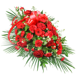 Set against a clean white background, this luxurious red funeral spray stretches outward in an elegant, tapered form, almost like a river of petals flowing gently from one end to the other. At its heart, a mass of deep red roses forms the focal point, their velvety spirals of petals opening at different stages, from tight buds to full, generous blooms that speak of enduring love. Nestled between the roses, richly coloured red carnations create a soft, ruffled texture, while vivid red gerbera daisies punctuate the design with open, modern faces and darker centres that add depth. Here and there, tiny white filler flowers, reminiscent of baby's breath or delicate spray chrysanthemums, glimmer like pinpoints of light, subtly brightening the composition without diluting the powerful red theme. A broad, satin red ribbon is fashioned into a showy bow near the top, its glossy loops and trailing streamers curling through the flowers like a final embrace. Surrounding this central bed of blooms, generous layers of greenery arc outward: long, arching palm leaves, fern-like fronds, and shorter, darker foliage combine to frame the spray and give it structure. The greens contrast beautifully with the crimson tones, evoking both peace and strength. This dignified spray, the kind often chosen for casket tops or front-facing stands in Clerkenwell's historic chapels and quiet side streets off St John Street, feels deeply personal, making it a thoughtful expression of sympathy and remembrance for local farewell services.