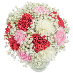 In the heart of Clerkenwell, where history blends with modern artistry, this luxurious carnation bouquet captures both tradition and contemporary elegance. Expertly set within a rounded glass vase, the flowers explode in a dense tapestry of deep red, delicate blush pink, and soft ivory white, each carnation showcasing ruffled layers reminiscent of silk. Sprigs of airy white baby's breath (Gypsophila) thread between the blooms, creating a sense of floating delicacy and balancing the bouquet's full, rounded silhouette. The composition, as viewed from above, draws the eye to its nearly perfect spherical shape-a signature of skilled floral artistry often admired at places like Spa Fields and Farringdon's creative workshops. The lush petals, gently illuminated by diffuse light, seem almost tangible, promising softness to the touch while emitting notes of freshness reminiscent of spring mornings in Clerkenwell Green. Below, the vase's clear glass reveals intertwining stems and rippling water, grounding the extravagance in natural beauty. Perfect for marking milestones, offering congratulations, or brightening a flat near Leather Lane, this bouquet is more than a collection of blooms-it's a radiant gesture of admiration and joy, curated with expertise by Clerkenwell's local florists for same-day delivery throughout the neighbourhood.