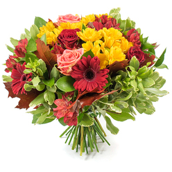 This full, hand-tied bouquet sits against a plain white backdrop and celebrates autumn through a harmonious layering of colour, texture and form. Dominant deep burgundy and crimson gerbera daisies create immediate focal points with their wide, flat rays and shadowed centres; nearby, velvety red roses-some fully cupped, others in tight spirals-convey classic elegance and a soft rose perfume. Sprays of bright yellow chrysanthemum-like blooms are generously tucked throughout, their tiny petals forming joyful pockets of light that lift the composition. Pale coral-pink roses and peach-toned garden roses offer gentle accents, and speckled alstroemeria in red-orange tones add a slender, intricate counterpoint with their freckled throats and delicate petals. The bouquet is framed by an abundant mix of foliage: deep, glossy greens provide a strong foundation while lighter, almost variegated leaves add air and movement. Strategically placed large, reddish-brown leaves-the warm, brittle look of late-season oak or maple-announce the fall theme and bring an organic, woodsy texture. The stems are bound low and visible at the base, the telltale sign of a skilled hand-tied arrangement that will sit naturally on a table. Photographed in soft daylight reminiscent of Clerkenwell lane mornings, this arrangement reads as celebratory yet intimate-ideal for seasonal dining tables, Saturday market displays, or as a thoughtful autumn delivery around Leather Lane and Farringdon.