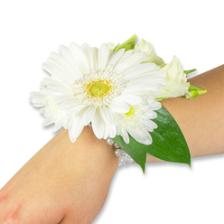 This delicate wrist corsage floats like a small white bouquet along a light-toned forearm, set against a bright white backdrop that highlights each botanical detail. Dominating the composition is a vivid white Gerbera daisy, its silky petals layered into a broad, luminous rosette around a lively yellow-lime centre that adds warmth and texture. Tender, creamy lisianthus blooms and tiny pom-like spray chrysanthemums cluster around the Gerbera, introducing softness and a whisper of layered fragrance-green, faintly sweet, with the cool, cut-stem freshness of newly cut flowers. Beneath the blooms, rich deep-green ruscus leaves frame the arrangement, their glossy blades creating contrast and a structured base that lets the whites sing. The flowers sit upon a delicate multi-strand wristband of small white pearls, the beads threaded close to the skin and gleaming with a soft, antique sheen; the band's gentle elasticity keeps the piece wearable yet secure. The lighting is even and natural, revealing the subtle veins on the leaves and the fine texture of petal edges; you can almost feel the slight crunch of the daisy's stem against the pearl strands and the coolness of petals brushing the skin. Perfect for weddings, proms or an elegant celebration in Clerkenwell-perhaps worn while pausing outside Exmouth Market or walking past Leather Lane-this corsage blends timeless formality with approachable freshness, a small, handcrafted touch that completes an outfit and holds the promise of quiet, tender memories.