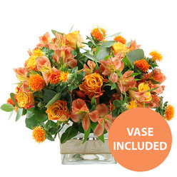 A warm, sunlit bouquet in vivid shades of orange, yellow, and soft peach is shown on a pure white backdrop, like a bright moment of colour dropped into a quiet Clerkenwell side street. The arrangement is dominated by rich orange roses, some with a gentle gradient into golden yellow at their centres, each bloom unfurling in layered whorls that look soft and velvety. Beside them sit cheerful yellow garden roses, their more compact, ruffled petals adding contrast in shape while echoing the same radiant palette. Threaded throughout are elegant stems of alstroemeria in tones of peach and light orange, their elongated petals decorated with characteristic stripes and speckles that draw the eye deeper into the bouquet. Punctuating the composition are small, intensely orange, spiky spheres, similar to safflower or ornamental thistle, whose bristly texture gives the design a slightly wild, tactile quality, like seed heads spotted in a sun-drenched garden off St John Street. Surrounding and framing the blooms is an abundance of foliage: cool, silvery-green eucalyptus leaves and darker green stems that create layers of shadow and depth, making the warm colours appear even more luminous. The flowers are arranged in a clear square glass vase, allowing the straight, clean lines of the stems to be visible through the water, reinforcing a sense of freshness and care. Around the middle of the vase runs a simple band of natural beige burlap or jute, its rough texture lending a gentle rustic note to the otherwise contemporary silhouette. In the lower right corner of the image, an orange circular graphic with bold white text reads VASE INCLUDED, making it clear that this is a complete, ready-to-display floral gift, suitable for celebrating birthdays, promotions, or new beginnings anywhere around Clerkenwell.