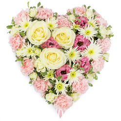 A luxurious heart-shaped floral tribute fills the frame, set cleanly against a bright white background so that every flower and shade stands out with gentle clarity. The heart is lavishly built from layer upon layer of soft blooms in pastel pink, ivory, pale butter yellow and accents of deep magenta, creating an impression of tenderness and compassion. At its core, several large cream-to-pale-yellow roses open in elegant spirals, the petals densely packed and softly luminous, like a quiet promise of lasting love. Surrounding them, pale pink carnations form the main body of the heart, their ruffled, cloud-like petals tightly clustered together to create depth, texture and a sense of comforting fullness. White spider chrysanthemums are dotted between the carnations, their slender, spiky petals stretching outward from bright green centres, bringing a lightness and intricate detail that keeps the eye moving across the piece. Nestled among these are pockets of rich magenta lisianthus, their slightly flared, bell-shaped blooms adding a deeper, almost velvet-like tone that suggests profound emotion and remembrance. Tiny hints of green foliage and a few variegated leaves peek out from the dense bed of petals, offering a touch of garden freshness. At the pointed base of the heart, a delicate pink ribbon is just visible, suggesting this arrangement has been thoughtfully prepared as a funeral or memorial tribute. It is the kind of carefully composed piece you might choose from a trusted Clerkenwell florist when saying farewell at a quiet service near Exmouth Market, a floral message of solace, memory and enduring affection.