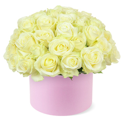An abundant cluster of creamy white and soft ivory roses fills a round pastel pink hat box, creating a perfectly domed bouquet that feels both contemporary and timeless, much like the mix of old and new architecture around Clerkenwell. Each rose is tightly nestled beside the next, their velvety petals opening in generous spirals that show off faint hints of butter-yellow at the heart of select blooms. The blossoms appear freshly cut, their edges smooth and unblemished, as if the arrangement has just been finished on the workbench of a nearby flower studio. Wisps of fresh green foliage are barely visible beneath the lush canopy of roses, offering a delicate, natural frame without disturbing the serene, almost monochrome palette. The hat box has a smooth, matte texture and a gentle blush-pink shade that contrasts gracefully with the light roses, much like a piece of minimalist décor in a Clerkenwell loft apartment. Set against a bright, uncluttered white background, every detail of the petals, from their gentle curls to the way they catch the light, is clearly defined. The composition radiates sophistication and quiet joy, suggesting a heartfelt anniversary surprise, a romantic gesture delivered to an office near Farringdon Station, or an elegant centrepiece for an intimate dinner off Clerkenwell Green. It reflects the careful, artistic eye of a local florist, where craftsmanship, freshness, and understated luxury combine to create a gift that feels deeply personal and thoughtfully curated.