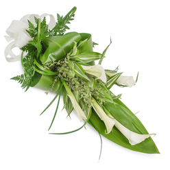 This elongated tribute reads like a quiet poem in white and green, hand-crafted with the careful restraint of a seasoned florist. Creamy white Calla lilies take centre stage: each trumpet-shaped bloom, Zantedeschia aethiopica, sits with its stem exposed and its petal edges soft against soft studio light, guiding the eye from the compact top-left towards the tapered bottom-right. Around them, a variety of foliage has been selected for both structure and nuance - deep emerald, glossy leaves folded to form a sturdy base, thin grass blades arcing outward to lend motion, and delicate fern fronds that add an airy, woodland texture. Variegated leaves streaked with pale green and white bring visual brightness across the middle, while tiny, almost frothy green sprigs fill hollows with a gentle, natural look. A large, off-white woven ribbon - linen or burlap in feel - is tied into a simple bow at the upper left, its fibres visible and tactile against the smoothness of the lilies. The arrangement is photographed on a clean white backdrop so every element reads clearly; there is a calm, reverent mood that makes this suitable for memorial settings, refined gift-giving, or a minimalist wedding. As a Clerkenwell arrangement you might see from a neighbourhood maker around Leather Lane and Farringdon, it balances botanical refinement with an approachable, local sensibility - an offering that feels both contemporary and quietly consoling.