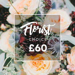 This image captures a bouquet that reads like a small, cultivated meadow: the focal point is a striking, deep burgundy dahlia whose velvety, layered petals draw the eye into the centre, giving the design a dramatic, romantic heart. Around it, garden roses in creamy white, soft peach and blushing apricot fold into each other with ruffled, buttery texture, their scent almost perceptible - warm, honeyed and intimate. Interspersed are icy blue eryngium thistles, their spiky, architectural forms offering a cool, modern counterpoint, while pale green or ivory hypericum berries scatter like tiny islands of light. Varied greenery, including frosty eucalyptus leaves and deeper, glossy foliage, fills out the composition and adds a fresh, herby note that balances the sweetness of the roses. Soft, directional light molds the bouquet, catching the dahlia's velvet and the rose petals' translucence so each bloom reads as a distinct form within the whole. Centered over the floral display is a crisp white square frame with rounded corners; inside, white script spells "Florist," a small uppercase "CHOICE" sits beneath, and the bold price "?60" anchors the design - the white text contrasts deliberately with the darker blooms below. The arrangement reads as a thoughtful 'Florist's Choice' - an expert-curated selection perfect for romantic moments, milestone celebrations, or to console with beauty. As a local Clerkenwell florist's offering, it pairs well with same-day delivery across Exmouth Market and nearby streets, bringing a layered scent and artisanal finish to any room.