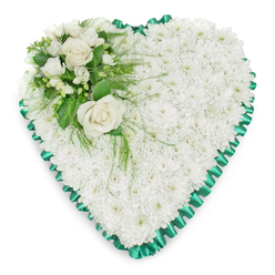 Elegant heart-shaped sympathy arrangement made entirely from fresh white chrysanthemums, their small, rounded petals forming a continuous blanket of soft texture and calm colour across the full shape of the heart. The blossoms are densely packed so no gaps appear, creating a smooth, almost quilted effect that evokes peace, reverence, and gentle remembrance. Encircling the edge is a vivid emerald green satin ribbon, tightly pleated into a ruffled border that defines the contours of the heart. Its subtle shine contrasts with the matte softness of the flowers, giving the tribute a polished, respectful finish. In the upper left section sits a carefully composed accent spray, where two open white roses take pride of place. Their creamy petals unfurl in generous layers, symbolising love that endures beyond farewell. Nestled around them are smaller white flowers reminiscent of freesias or similar delicate blooms, with tiny buds adding nuance and depth. Rich green foliage-both broad and glossy as well as finely feathered-frames the roses, some leaves arching slightly over the chrysanthemum bed to soften the lines. The entire arrangement is shown against a clean white background, so every detail can be appreciated, from the intricate pleats in the ribbon to the curve of each petal. This heart tribute would sit beautifully beside a coffin or on a stand at a funeral service in Clerkenwell, perhaps in one of the area's historic churches or crematorium chapels, providing a quiet, dignified message of support for grieving families who live and work around St John Street, Farringdon, and the surrounding neighbourhood.