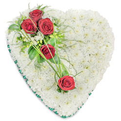 A meticulously crafted heart-shaped floral tribute is shown against a clean white background, its form clearly defined and softened by a continuous band of dark green satin ribbon around the edge. Inside this ribboned border, countless small, pristine white chrysanthemums are massed closely together, creating a plush, pillow-like surface that feels both gentle and protective. Their compact blooms form a completely uniform field of white, evoking purity, peace, and the stillness of a quiet morning along the streets of Clerkenwell before the city fully wakes. Resting gracefully across the upper left curve of the heart is a diagonal spray of five deep red roses, each one at its prime, with layered petals unfolding in a rich, velvety spiral. Three roses sit in a prominent cluster at the curve, while two more are spaced slightly lower, drawing the gaze toward the centre. Around them, small white filler flowers, perhaps freesia or a similar delicate bloom, lighten the composition, while glossy, dark green leaves and airy, fern-like foliage add structure and gentle movement. Slender blades of bright green grass sweep in elegant arcs across the white base, visually connecting the roses and creating a sense of flow, almost like a ribbon of memory. The contrast between the red roses and white chrysanthemums symbolises love and loss side by side, making this tribute especially fitting for funerals, memorials, or cremation services in and around Clerkenwell, where families wish to express profound affection, respect, and lasting remembrance through flowers.