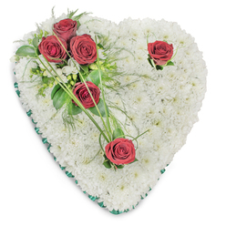 Softly lit from above, this heart-shaped tribute is composed entirely of small, snow-white chrysanthemum heads, each carefully placed to create a seamless, cushioned surface that feels both tactile and tranquil. Against this serene base, five deep red roses provide a deliberate, poignant contrast: three clustered together on the upper left, their petals fully unfurled and releasing a warm, classic rose perfume, and two positioned apart-one near the right curve and one at the lower tip-each accented by minimalist sprigs of glossy foliage and fine green blades that suggest a gentle outward motion. Around the main cluster, fine fern-like fronds and a scattering of tiny white accent flowers add breath and softness without disturbing the heart's silhouette. A slim emerald-green satin ribbon precisely outlines the heart, giving a subtle, refined border that lifts the form from the white background and lends a touch of ceremony. The overall feeling is restrained and comforting: white for peace and remembrance, red for deep affection and respect. As an arrangement intended for funeral services or a memorial table, it is the kind of piece we prepare for families across Clerkenwell and nearby Exmouth Market-meant to be both visually clear in print and tactile in the room, offering solace through simple colour, scent and careful craftsmanship.