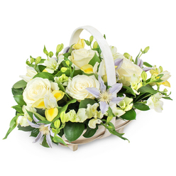 A refined funeral flower basket is pictured against a clean white backdrop, its pale wicker body and curved handle forming a soft frame for a cluster of carefully chosen blooms. The arrangement is rounded and lush, brimming with creamy white roses whose petals unfurl in generous layers, each rose like a small pool of light at the centre of the design. Interwoven among them are distinctive, star-like clematis blossoms in the gentlest lavender and periwinkle tones, their yellow-green centres glowing softly and adding a whisper of colour, never overpowering the restful mood. Around these focal flowers, smaller white and pale yellow freesia-style blooms weave through the composition, some buds still closed tight, others just opening, suggesting the unfolding of memory and the continuity of life. Fine white filler flowers, possibly lisianthus, bring a cloud-like softness that contrasts with the clean, structured form of the basket. Deep, glossy greens and more delicate, lighter foliage spill outward and upward, creating a natural cradle that makes the flowers appear freshly gathered from a quiet garden along the back streets of Clerkenwell. The lighting is even and gentle, allowing every petal edge and leaf vein to be clearly seen without harsh shadow. The overall impression is of understated elegance and heartfelt care, the sort of sympathy basket that might accompany a family to a service near Farringdon or rest in a living room overlooking Clerkenwell Green, offering a steady, comforting presence at a time of loss.