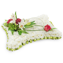 This rectangular floral pillow is a classic sympathy tribute: a meticulously dense surface of small, pristine white chrysanthemums forms the soft foundation, while a neat pleated trim of pale lime green satin ribbon defines its edges with understated grace. Anchoring the upper left is a carefully arranged cluster of white Oriental lilies - two fully open to show their yellow stamens and one elegantly closed bud - paired with clusters of deep burgundy spray carnations that provide a dramatic, respectful counterpoint. Lush green elements, from delicate fern fronds to broader salal leaves, build a natural backdrop and bring varied textures that catch the light in different ways. A graceful, arching loop of green foliage or wire sweeps from the cluster toward the right, culminating in a single deep red rosebud resting on the cushion, its velvety petals only just unfurling and symbolising enduring love and quiet sorrow. The lilies lend a gentle fragrance that mixes with the cool, fresh scent of chrysanthemums to create a calm, contemplative atmosphere. Set against a simple white background and finished with meticulous craftsmanship, this piece reads as both traditional and personal - a fitting tribute for a funeral, wake, or memorial in Clerkenwell, nearby Farringdon, or around Smithfield. Prepared with care by Clerkenwell Flowers, it is offered with sensitivity and, when needed, can be arranged for timely local delivery to family homes and chapels in the area.
