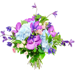 Set against a bright white backdrop, this artful bouquet feels like a little pocket of calm and colour lifted straight from a Clerkenwell garden after rain. The core of the design is formed by plump heads of pale sky-blue hydrangea, their countless petals overlapping like ripples on water, creating a plush, cloud-soft texture. Nestled between these cool blue mounds are striking orchids in shades of fuchsia and royal purple, probably Vanda or Phalaenopsis, each bloom displaying intricate speckles and veining that draw the eye deeper into the arrangement. Rising above and gently spilling outward, deep purple clematis blooms add height and a touch of wild grace, their starry or bell-shaped flowers echoing the climbing vines you might spot along quiet residential terraces near St John's Square. Tucked throughout, miniature roses in soft pink and creamy ivory offer a more traditional note, suggesting affection, gratitude, or a tender apology, their clustered petals tightly formed yet delicately edged. A wealth of glossy green foliage frames and supports the flowers, giving the bouquet structure and contrast, while keeping the palette firmly rooted in nature. The stems are carefully gathered and tied, ready to place straight into a favourite vase in a Clerkenwell workspace or apartment overlooking Clerkenwell Green. The photography highlights every nuance of colour and texture, from the velvety orchid petals to the matte, papery feel of the hydrangea, so the whole arrangement feels both luxurious and approachable-ideal for birthdays, congratulations, or simply brightening a creative studio near Farringdon with a sense of poised, contemporary beauty.