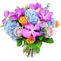 A sumptuous floral bouquet is shown in full detail against a clean white background, every stem carefully composed to create a sense of modern elegance that feels very Clerkenwell. Dominating the scene are bold Vanda orchids in shades of vivid magenta and deep fuchsia, their large petals etched with intricate white speckles and netted patterns that catch the light like fine fabric. These orchids rise proudly among a cushion of sky-blue hydrangeas, whose rounded clusters of countless tiny florets form a soft, voluminous base, almost like clouds drifting over the rooftops near Clerkenwell Green. The cool blue hydrangeas temper the intensity of the orchids, introducing a calming, airy quality. Between them, roses in complementary hues weave a richer story: some are warm, citrusy orange roses with tightly wrapped centres just beginning to open, radiating cheer and celebration; others are muted dusty lavender or mauve roses that add a hint of vintage romance, perfect for a thoughtful gift delivered to a design studio or apartment off St John Street. Threaded throughout are slender stems of deep blue accent flowers, reminiscent of delphiniums, providing fine, vertical lines and flashes of inky colour that deepen the overall palette. Polished green foliage, with broad, glossy leaves and softer greenery, creates a lush frame and a sense of garden freshness. The bouquet is tied in a neat, domed hand-tied style, the stems cut clean and visible at the base, conveying craftsmanship and care. This arrangement feels ideal for marking milestones, saying thank you, or bringing sophisticated colour into homes and offices across Clerkenwell.