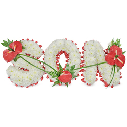 The image shows a refined funeral flower tribute that spells out the word "SON" in large, sculpted letters, set crisply against a plain white backdrop so the arrangement appears to float in stillness. Each letter is completely covered in snowy white chrysanthemums, packed tightly together to form a plush, velvety surface, like a soft blanket of petals symbolising innocence, calm, and a peaceful farewell. Along the edges and inner shapes of the letters, a vivid red satin ribbon curves and ripples, creating a neat scalloped frame that adds contrast and gently highlights every contour of the 'S', 'O', and 'N'. Three carefully positioned clusters of bright red anthuriums bring warmth and emotional intensity to the design. One lush grouping, surrounded by deep green foliage, decorates the upper left portion of the 'S'; a single, shining anthurium is tucked into the lower curve of the 'O'; and a more elaborate cluster crowns the upper right side of the 'N', with fern fronds and broad leaves cascading softly over the white blooms. Slender green stems arc gracefully between these focal points, suggesting connection and continuity, much like the subtle pathways linking Clerkenwell's churches, quiet side streets, and historic squares. The lighting is even and gentle, with no harsh shadows, so the creamy whites and rich reds remain clear and true. This carefully composed sympathy tribute, suitable for a funeral service or chapel of rest in or around Clerkenwell, conveys enduring love, remembrance, and respect for a beloved son, expressing what words might struggle to say.