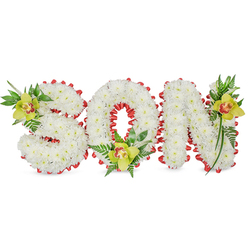 This composed sympathy tribute forms the word SON in three-dimensional letter mounts, each face densely layered with pristine white chrysanthemum blossoms to produce a smooth, cloud-like surface that speaks of innocence and reverence. The letters are trimmed all around with a striking red ribbon folded into delicate scallops, a bold line of colour that frames the white and suggests love and remembrance. Placed at deliberate intervals - the upper curve of the S, the lower interior of the O, and the upper stroke of the N - are three lime-green Cymbidium orchids, their waxy yellow-green petals and pale orange to reddish-brown throats providing a warm, humanizing contrast to the snowy chrysanthemums. Sprays of glossy green foliage and delicate fern fronds cradle each orchid, lending a natural, garden-like softness and vertical lift to the composition. Photographed against a plain white background, the tribute's textures and tonal contrasts are clear: the chrysanthemums' fine petals, the orchids' smooth sheen, and the ribbon's satin brightness. Crafted with the care you would expect from a local Clerkenwell Flowers workshop when preparing a memorial for a family in Farringdon or near St John's Square, this arrangement is intended for funeral services, memorial displays, or graveside placement. The overall mood is one of solemn dignity and intimate remembrance, a handcrafted way to say goodbye that communicates both love and steady, respectful craftsmanship.