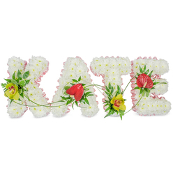 Set against a clean, uncluttered white background, this floral name tribute spells out "KATE" in four generous capital letters, each one shaped entirely from pure white chrysanthemums that sit closely together like soft snowdrifts. The flowers' rounded petals create a plush, velvety surface, bringing a sense of comfort and quiet dignity to the design. Around the outer edges of the 'K', 'A', 'T' and 'E', a narrow light pink ribbon is expertly gathered and pinned, its satin finish adding a delicate blush of colour and a graceful, hand-crafted feel. Nestled into the white blooms, vibrant focal flowers bring warmth and character: yellow-green cymbidium orchids with their speckled, reddish-brown centres glow softly on the 'K' and 'T', while deep red, heart-shaped anthuriums highlight the 'A' and 'E', their glossy petals and raised centres catching the light. Rich, dark green leaves and fine fern fronds frame these accents, adding depth and a natural, garden-like freshness. Slender green tendrils meander across the letters, visually linking them so the name reads as one flowing tribute rather than four separate pieces. The composition feels calm and intentional, like a piece lovingly created for a farewell service in Clerkenwell, perhaps for a family gathering after a ceremony near Exmouth Market or around Rosebery Avenue. This personalised floral arrangement works beautifully as a focal piece for a funeral, memorial service, or celebration of life, offering a tender way to honour someone named Kate with flowers that express remembrance, affection, and local care.