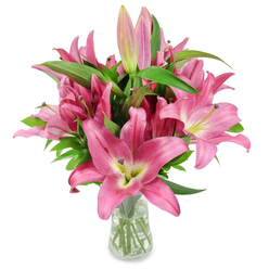 The structure of this pink lily arrangement is both confident and tender, a study in boldness refined by delicate detail. In a clear glass vase set against a crisp white background, clusters of large oriental lilies open into broad, star-like faces whose waxen petals shimmer with the ripe, fruit-skin texture of fuchsia and rosy pink. Each blossom curves gracefully to reveal paler centres and a hint of chartreuse at the throat, where the colour softens into creamy tones and allows the dark, pollen-laden stamens to stand as small, sculptural accents. Between these fully unfurled flowers sit elongated buds-some pale and almost translucent, others closed and richly pigmented-suggesting days of unfolding beauty and prolonged enjoyment for the recipient. The greenery is plentiful and glossy, slender leaves weaving through the bouquet and offering a cool, verdant counterpoint to the pinks; the stems descend into clear water visible through the vase, attesting to careful preparation and freshness. Soft, directional light in the studio picks out petal texture and the gentle sheen of the leaves, while the imagined scent-heady, sweet, and slightly green-seems to invite you closer. This composition feels contemporary yet timeless, perfect for marking new beginnings, quiet gratitude, or a thoughtful delivery to a Clerkenwell address near St John Street or Spa Fields, where the sight and scent of these lilies would bring immediate warmth to an apartment or office.