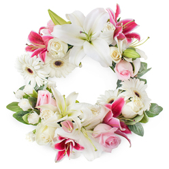 Set against a clean white backdrop, this circular sympathy wreath feels like a gentle embrace, the kind of thoughtful tribute you might see carried into a remembrance service off St John Street or near Exmouth Market. The ring is densely woven with white oriental lilies whose open, star-shaped blooms reveal subtle green throats and golden pollen-tipped stamens, giving the arrangement an air of purity and stillness. Between them, deep magenta and fuchsia lilies weave a ribbon of rich colour, their slightly speckled petals folding back gracefully as if in a quiet bow. White gerbera daisies, with crisp, layered petals and dark, expressive centres, punctuate the design, adding a contemporary touch that suits Clerkenwell's blend of history and modern style. Threaded throughout are soft pink rosebuds and more fully opened blush and ivory roses, their velvety textures suggesting closeness, affection, and a lifetime of memories. Tiny white filler flowers-likely sprays of miniature carnations or chrysanthemums-nestle among polished green leaves, ensuring there are no empty spaces in the circle, a visual reminder of unending love and connection. The greenery is varied yet subtle, deep emerald tones providing depth and contrast while holding the blooms in a perfect ring. One can almost sense a gentle fragrance of lilies and garden roses, drifting as if on a cool breeze from a nearby Clerkenwell courtyard. This carefully crafted wreath offers a dignified, heartfelt expression of sympathy, ideal for funeral services, cremations, or commemorations held across the EC1 area.