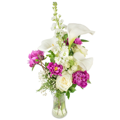 A carefully considered arrangement that balances sculptural lines with lush garden romance, photographed on a crisp white surface so every detail is clear. Slim white calla lilies arch upwards at the heart of the design; their satin-smooth trumpets and pale yellow spadices create a clean, contemporary silhouette. Surrounding them, deep magenta peonies spill open in voluptuous, ruffled layers - two fully expanded blooms sit prominently at mid-height while a smaller bud promises a later reveal. A creamy white rose nestles among the lower stems, its compact spiral of petals offering a classic counterpoint to the peonies' drama. A tall spike of white stock introduces vertical texture through tight clusters of tiny florets, and airy sprigs of baby's breath are woven throughout to soften edges and lend a delicate, breathy feel. Varied greenery - from slender, feathery fronds to broader glossy leaves - provides a verdant backdrop that intensifies the colours. All stems are visible through a gently curved clear glass vase filled with water, the natural placement and clarity of the stems conveying freshness and honest craftsmanship. As a Clerkenwell florist would arrange for customers walking past Leather Lane or picking up a delivery near St John's Square, this bouquet reads as thoughtful and celebratory; Clerkenwell Flowers prepares similar designs for birthdays, anniversaries, and small, meaningful gatherings, and the scent blends cool calla notes with the soft, honeyed perfume of peonies for a truly sensory gift.