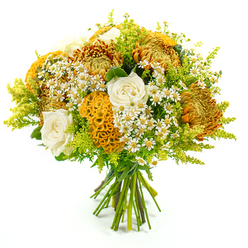 Displayed against a crisp white backdrop, this hand-tied bouquet feels like a concentrated burst of late-summer sunshine brought straight into a Clerkenwell townhouse near St John Street. The domed arrangement is generously filled with large chrysanthemums in shades of golden yellow, rusty orange, and soft amber, their densely layered, spiky petals creating a sense of movement, as though each bloom is glowing gently from within. Around and between them, creamy white roses sit like calm pauses in the composition, their smooth, unfurling petals perfectly formed yet soft, adding a classic, almost bridal grace that balances the more rustic elements. Adding a distinctive twist, several yellow-orange celosia heads rise from the foliage, their velvety, cockscomb ridges twisting and folding in brain-like patterns that invite the fingertips, bringing both whimsy and rich texture to the bouquet. Dotted throughout, petite white daisy-style flowers with sunny yellow hearts recall simple meadows and casual weekend walks through nearby parks, their lightness keeping the design from ever feeling heavy. Wisps of bright lime-green solidago and mixed greenery arc outward in feathery sprays, giving extra height, airiness, and a fresh garden scent that you can almost imagine. The stems are clearly visible at the base, neatly gathered and firmly wrapped with green florist's tape, revealing the careful hand of an experienced florist familiar with the tastes of Clerkenwell residents. The overall mood is warm yet relaxed, ideal for brightening a creative studio off Clerkenwell Road, marking a thoughtful get-well gesture, or sending a gentle 'thinking of you' message, its colors and textures capturing that in-between moment where summer softens into autumn.