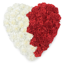 Seen from above, this heart-shaped floral tribute is crafted entirely from countless fresh carnations, their ruffled heads packed closely to create a continuous, sumptuous surface. The left half is a serene field of off-white and creamy carnations, their soft petals overlapping like folded satin, while the right half is saturated with deep, passionate red carnations that glow against the white backdrop. Between them runs a deliberate, slightly undulating vertical division that breaks into a saw-tooth edge - a design detail that can carry national meaning or simply express the tension and harmony of contrasting emotions. The carnations' texture is the story here: layered, crinkled petals forming gentle waves that catch early morning light, and releasing that quiet, clove-like scent you expect from healthy blooms. Prepared with the care of a Clerkenwell workshop, this piece would be appropriate for commemorations, civic events, or private remembrances in nearby St John Street, Rosebery Avenue or Leather Lane. It feels both intimate and ceremonial - a loving gesture for farewells or for expressing allegiance during local celebrations. The arrangement's crisp silhouette against clean white space makes it highly readable at a distance and tenderly detailed up close, reflecting hands-on craftsmanship and floral knowledge grounded in Clerkenwell's market traditions and ready for same-day delivery across the neighbourhood.
