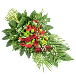 Set against a bright white background, this elongated sympathy spray appears almost to float, its tapered form drawing the eye from a generous base of blooms to a refined, pointed tip. The design combines traditional funeral flowers with a modern twist, much like the blend of old and new architecture around Clerkenwell Green. Deep red roses, some tightly furled and others opening in velvety spirals, anchor the composition with a sense of enduring love and remembrance. Around them, scarlet gerbera daisies with dark centres and clusters of soft, frilled carnations build layers of crimson texture, suggesting warmth, courage, and heartfelt respect. Threaded throughout are clusters of lime green chrysanthemum pompons, their rounded, button-like heads adding both playful contrast and a fresh, contemporary note, similar to glimpses of bright foliage in local garden squares. A scattering of delicate white filler flowers, perhaps tiny daisies or gypsophila, lightens the mood, offering a breath of calm among the richer colours. The arrangement is abundantly framed by lush greenery: wide, glossy salal leaves, feathery ferns, and other mixed foliage create a deep, supportive cradle of green. On the lower right side, long, broad leaves splay outwards, echoing the natural arc of a river or pathway, while on the upper left, a neat bundle of straight green stems rises with quiet strength, one large leaf wrapped around their base for a refined, contemporary flourish. Carefully crafted for moments of farewell, this dignified spray would be a comforting presence at a funeral service or memorial gathering anywhere in Clerkenwell, from historic churches to modern ceremony spaces.