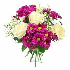 Against a spotless white studio backdrop, a rounded hand-tied bouquet rests upright, every bloom facing forward as though ready for delivery to an office off Farringdon Road or a flat near St John's Square. The design is anchored by several fully opened roses in a creamy white with hints of buttery yellow near the centres, their petals curling outward in soft spirals that suggest calm elegance and quiet luxury. Surrounding these roses, a ring of vivid magenta chrysanthemums creates a burst of saturated colour, each flower marked by a contrasting yellow-green centre that glows like a small sun and gives a lively, slightly playful character. Woven among them are delicate sprays of tiny white daisies, likely chamomile-style filler, each with slim white petals and a pinhead golden centre that introduces a light, countryside feel, as if freshly cut from a city garden near Clerkenwell Green. A few smaller chrysanthemum buds in a darker purple-pink shade are nestled a little deeper within the bouquet, giving the composition a sense of depth and progression, from tight bud to full bloom. Glossy green leaves and softer, more feathery foliage peek out at the edges, framing the flowers and adding a natural structure without overwhelming the bright blossoms. The stems are pulled tightly together at the base and wrapped with a tidy green and white checked ribbon, adding a homely, handcrafted touch that suggests care and local expertise. Bright, even lighting enhances every colour and texture, conveying a mood of cheerful appreciation and making this arrangement ideal for birthdays, thank-you gifts, or everyday celebrations in and around Clerkenwell.