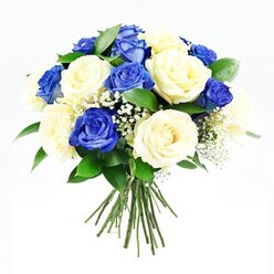 A rounded bouquet of rich blue and creamy ivory roses is captured against a crisp white backdrop, every detail of the hand-tied design clearly visible, as if resting on the counter of a small flower studio off Clerkenwell Road. The roses form a compact, domed cluster, with about half of the blooms an intense sapphire blue, their velvety petals layered densely and catching the light in gentle shadows, while the other half glow in shades of cream and soft off-white, creating a soothing counterpoint. Fine sprays of baby's breath weave through the arrangement like delicate white mist, each tiny star-shaped flower adding airiness and a sense of quiet movement. Slender, dark green leaves, probably Ruscus, emerge between the roses, their smooth surfaces and tapered tips giving depth and structure, reminiscent of the greenery in the tucked-away gardens around St John Street. Beneath the full crown of petals, the stems are neatly gathered and bound, extending just enough to suggest the bouquet has been freshly prepared for delivery, perhaps to a peaceful home near Exmouth Market or a thoughtful condolence visit in the Clerkenwell area. The overall feel is one of composed elegance and gentle solace, with the blue roses bringing a note of dignity and remembrance, and the cream roses adding warmth and comfort. This image conveys a bouquet suited to moments of sympathy and reflection, a refined floral embrace crafted to stand quietly on a side table or beside a framed photograph, offering a respectful expression of support without overwhelming the space.