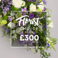 In a sunlit Clerkenwell studio a local florist shapes this Florist CHOICE SPRAY a dignified blend of white and purple that carries a message of comfort and remembrance. At its core are ivory white roses, their blooms velvety and timeless, surrounded by white lisianthus with ruffled edges and slender freesias that lend air and movement. The purple whispers come from deep lisianthus, soft lavender eustoma and lighter purples of freesia, while tall spires of veronica give vertical lift and a note of resilience. Lavender limonium threads through the arrangement adding gentle texture and the greens fern fronds and glossy leaves form a lush tapestry that anchors the design. The spray feels full and generous yet balanced a thoughtful statement for sympathy a funeral tribute or a heartfelt gift for a difficult day. A crisp white overlay sits over the center showing Florist CHOICE SPRAY with Florist in script and CHOICE SPRAY in bold uppercase, and the price ?300 stamped below in bright white. This image embodies the craft of Clerkenwell Flowers seasonal blooms curated with care, cut and arranged to travel fresh to families in Clerkenwell Smithfield and Farringdon including same day delivery across the district. It is a piece that speaks of presence compassion and the quiet dignity of a well made tribute a tangible gesture of support during times of farewell.