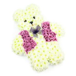 This image shows a tender teddy bear floral tribute, arranged with the quiet precision of an artisan florist working just off Clerkenwell Road. The entire bear is sculpted from masses of creamy white chrysanthemums, placed so closely together that no gaps show between the petals. The blooms trace every curve of the figure: a softly rounded head with pronounced ears, a compact body, short arms, and sturdy little paws. The texture calls to mind freshly brushed plush fur, but here it is rendered in living petals with gentle variations of ivory and pale butter-yellow at the centers. Two small, dark, bead-like eyes and a neatly defined nose form the teddy's sweet face, giving it a calm, comforting expression that seems to watch over anyone nearby. A whisper of a smile is suggested by the careful placement of petals beneath the nose, imbuing the tribute with warmth and kindness. Across the chest, a waistcoat effect is created using rich pink and mauve-toned blossoms, their saturated colour glowing against the white as if brightened by soft studio lighting. These blooms are slightly more voluminous, giving the vest a sculpted, almost tailored look that feels playful yet dignified. At the neckline, a fine bow of purple netting is tied with airy loops, adding delicacy and a hint of ceremony. The plain white background keeps the focus entirely on the floral craftsmanship, highlighting every texture and shade. Suitable for children's funerals, memorials, or gentle farewells held in Clerkenwell's churches and crematoria, this floral teddy bear offers a visual embrace of love, remembrance, and innocence.