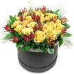 A round black hatbox overflowing with golden yellow roses and deep red leucadendron sits crisply defined against a pure white backdrop, the kind of arrangement you might see waiting on a polished table in a Clerkenwell loft. The box itself is a sleek charcoal or ink-black cylinder with a soft matte surface, encircled at the rim by a narrow band of delicate white lace. This lace trim adds a gentle touch of romance, echoing the careful craftsmanship that Clerkenwell is known for. Above, the flowers are densely arranged into a rounded, almost cloud-like dome. The roses are a warm, sunny yellow, their petals velvety and lush, layered in tight spirals that gradually unfurl towards the edges. Some blooms are fully open, creating generous cups of colour, while others are still partly closed, hinting at the days of beauty yet to come. Threaded between them are striking spires of Leucadendron 'Safari Sunset', their pointed, maroon and burgundy bracts tapering upwards like little flames, tinged with green at the base. These darker tones lend drama and contrast to the softness of the roses. Supporting everything is a carefully composed bed of greenery, with broad, glossy dark green leaves hugging the base and finer, feathery foliage flickering out here and there, softening the outline. The arrangement feels vibrant yet composed, the yellow roses radiating warmth like a shaft of afternoon light falling across a Clerkenwell studio window. It would be perfectly at home on a dining table near Clerkenwell Green, in a reception area by Farringdon Station, or arriving as a same-day delivery to surprise someone who needs a bright, uplifting gesture.