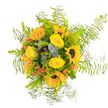 This bouquet radiates the vibrant, sunlit character of Clerkenwell-a harmonious gathering of bold yellow sunflowers, quietly luminous yellow roses, and playful accents of orange-red hypericum berries that spark against the fresh green backdrop. The central sunflowers, with their deep brown centers and golden petals, exude a joyful confidence reminiscent of Clerkenwell's lively weekend markets and gardens. Yellow roses nestle closely, their plush, suede-like petals providing softness and depth. Sprigs of eucalyptus peek through, offering a subtle blue-green coolness, while delicate Asparagus fern fans out at the edge, lending the arrangement a sense of gentle movement, much like a breeze on Bowling Green Lane. The interplay of textures-from the robust sunflower disks to the fine, feathery greenery-creates visual intrigue and balance. There's an essence of celebration in the composition, making it perfect for birthdays, heartfelt congratulations, or to simply lift the atmosphere of a Clerkenwell work studio. Inhaling near the bouquet, one might catch the faint tang of eucalyptus mingling with the mellow perfume of rose, conjuring memories of summer mornings in nearby parks. Every detail, from the placement of the berries to the airy frame, reflects the thoughtful craftsmanship of local florists and the cheerful spirit of the neighbourhood.
