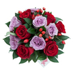 A richly coloured, dome-shaped bouquet sits against a clean white background, captured from a slightly top-down angle to show its compact, hand-tied silhouette. About a dozen fully opened roses form the heart of the arrangement, balanced between velvety deep red blooms and softer lavender-mauve roses whose spiralled petals unfurl with a porcelain-like grace. Between the heads of the roses, clusters of small, orange-red rose hips give a bright, woodland punctuation-glossy, rounded berries that catch the light and introduce a playful, natural texture against the smooth petals. Dark, glossy green leaves-likely ruscus or similar foliage-nestle and curve around each stem, their cool green sheen framing the flowers and adding depth to the composition. Near the lower centre, a small white gift tag peeps out from beneath the blooms; the single word flower is written in a graceful red script, a personal flourish that reads like a quiet promise from someone who chose this as a gift.

The lighting is soft and even, the white background clarifying colour contrasts so the reds feel warm and immediate while the lavender roses bring a gentle, contemporary calm. Imagine the scent as a soft mix of rose perfume and leaf-amber, springing to life like morning air in a quiet Clerkenwell courtyard near St John's Square. This bouquet reads as romantic and refined-an ideal present for anniversaries, a thoughtful apology, or to mark a birthday with understated elegance. Its blend of classic passion and modern softness makes it as suitable for an intimate dinner at home as for delivery to a loved one in the local area.