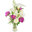 A graceful, upright bouquet sits in a clear, fluted glass vase against a clean white studio background, its presence quietly elegant and comforting. At the heart of the composition several ivory-white calla lilies rise on smooth, sculptural stems, their trumpet-shaped spathes curving with a satin sheen and soft green-yellow shading near the throat. Around them, sumptuous magenta peonies spill voluminous ruffled petals - two blooms flushed open with layered texture and deep jewel-pink centers, and one tight bud promising a later unfolding. Nestled lower in the grouping are creamy, traditionally formed white roses whose dense, concentric petals add a gentle, classical softness. Vertical stems of fragrant white stock (or snapdragon-like spires) thread upward, their clusters of small blossoms introducing height and a lightly peppered texture that contrasts the broad petals. Sprays of tiny white baby's breath float like a veil through the arrangement, and ferny, delicate green foliage together with a few broader leaves give natural structure and fresh contrast to the vivid flowers.
The transparent vase reveals clean-cut stems and clear water, reinforcing the bouquet's freshness; soft, diffused lighting catches petal edges and the glass rim, creating a calm, reflective mood. The scent is a subtle blend of peony sweetness and green stem notes that feels like an early summer morning. This design reads as thoughtful and composed - suitable for an intimate dinner, a bedside sympathy arrangement, or a serene anniversary gift - and it carries the quiet assurance of a carefully considered floral composition made for local Clerkenwell homes and offices near Exmouth Market and St John's Square.