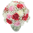Like a warm greeting from a local Clerkenwell florist, this vibrant floral bouquet captures the spirit of community and heartfelt celebration. A lush swirl of carnations-bold red, delicate blush, and creamy white-opens their ruffled petals wide, each bloom showcasing the skilled hands that arranged them. Between every carnation spill soft sprays of pure white baby's breath, their tiny blossoms adding lightness, texture, and gentle movement to the composition. The effect is akin to a cloud floating gently in the afternoon sunlight above the polished surface of a clear glass vase, where slender green stems can be seen dancing in bright water. The bouquet's rounded silhouette is carefully balanced, reflecting a sense of timeless elegance-from a birthday surprise hand-delivered on Clerkenwell Road to a comfort gift for a friend near Smithfield Market. The scent is subtly spicy, with fresh, creamy undertones that drift through the air, reminiscent of spring walks along St John's Square. Prepared with care and a neighbourly heart, this arrangement uplifts and soothes, its colours and textures embodying the warmth and style of central London living.