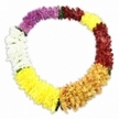 A multi-coloured floral lei lies in a neat oval ring against a spotless white backdrop, its presence both festive and contemplative, like a quiet moment of remembrance in a side street off Clerkenwell Road. The garland is composed of densely packed, chrysanthemum-like flowers, each bloom lush with layered, slightly curled petals that create a luxuriously full texture. As the colours travel clockwise from the top left, a rich panel of fuchsia-leaning magenta flows into a deeper maroon or cranberry red, the contrast subtle yet expressive. This deep warmth then softens into a glowing band of golden orange, which in turn lightens into bright, lemon-yellow blossoms that feel optimistic and gentle. Finally, a clean sweep of crisp white completes the sequence before the colours loop back to the magenta, ensuring the entire lei feels balanced and intentional. The transitions between each coloured section are smooth but distinct, with occasional tiny touches of green leaf or thread appearing at the joins, hinting at the careful work of the florist who strung it. The flowers have the consistent sheen and shape of high-quality artificial blooms, making the lei suitable for lasting funeral tributes, memorial services, or as a dignified accent around a framed photograph or urn. A soft, diffused shadow sits directly beneath the lei, giving it dimensionality without distraction. Overall, the image conveys a quiet Aloha spirit-welcome, love, and farewell intertwined-beautifully suited to a tribute piece chosen by families across Clerkenwell seeking a gentle, colourful way to say goodbye.