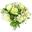 A rounded, hand-tied bouquet in a serene palette of white, cream, and layered greens is captured against a pure white backdrop, so every detail feels bright and tranquil. At the centre, full-blown cream roses unfurl in generous spirals, their velvety petals catching the light and giving the design its soft, romantic heart. Tucked alongside them are eye-catching ornamental kale blooms, their deep green outer leaves embracing tightly packed, ruffled middles that fade to pale lime and yellow-green, adding a contemporary garden-inspired twist often requested by clients in Clerkenwell's modern apartments and studios. Between these focal flowers, clusters of delicate white spray chrysanthemums and other small daisy-like blossoms create a gentle haze of texture, each with numerous fine petals circling a soft yellow-green centre, reminiscent of tiny stars scattered across the bouquet. Elegant stems of astrantia thread their way upwards, displaying spiky, star-shaped greenish-white heads that lend a slightly wild, natural meadow feel, as though the flowers were just brought in from a courtyard by Exmouth Market. Subtle touches of white alstroemeria, identifiable by their slender petals and faint striping, peek out between the roses and kale, offering quiet intricacy without disturbing the calm, monochrome theme. A collar of rich green foliage cups the entire design, mixing broader, glossy leaves with slimmer, more delicate greens to frame the blooms and emphasise the lush, rounded form. The stems beneath are neatly aligned and hand-tied, ready to be placed directly into a vase in a Clerkenwell office or home. Overall, the bouquet radiates freshness, purity, and modern elegance, perfect for same-day delivery when you want to send comfort, congratulations, or a stylish housewarming gesture nearby.